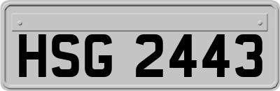HSG2443
