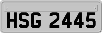 HSG2445