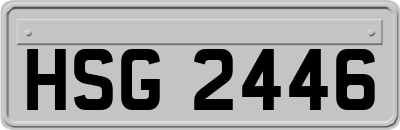 HSG2446