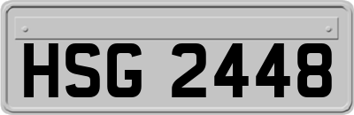 HSG2448