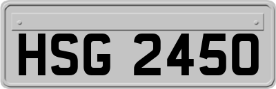 HSG2450