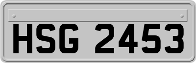 HSG2453