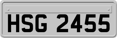 HSG2455