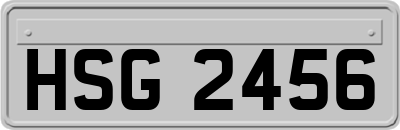 HSG2456