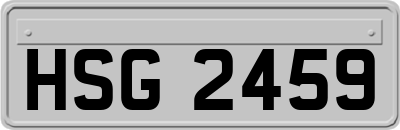 HSG2459