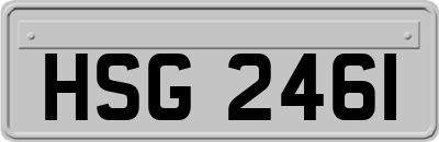 HSG2461