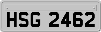 HSG2462