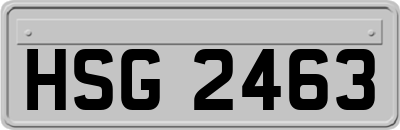HSG2463