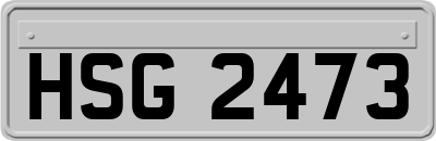 HSG2473