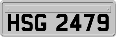 HSG2479