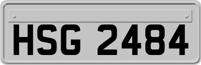 HSG2484
