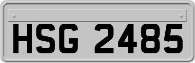 HSG2485