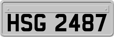 HSG2487