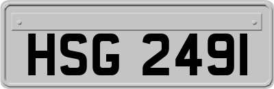 HSG2491