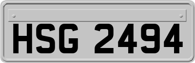 HSG2494
