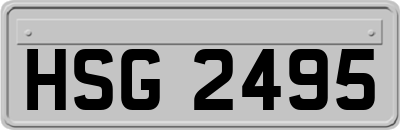 HSG2495