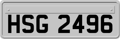 HSG2496