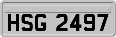 HSG2497