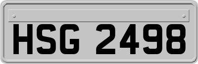HSG2498