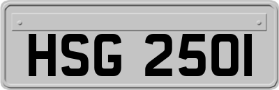 HSG2501