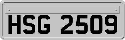 HSG2509