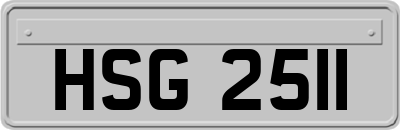 HSG2511