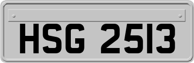 HSG2513