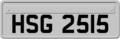 HSG2515