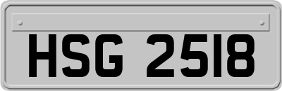 HSG2518