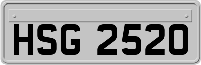 HSG2520