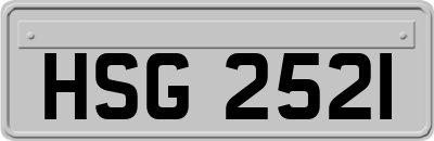 HSG2521