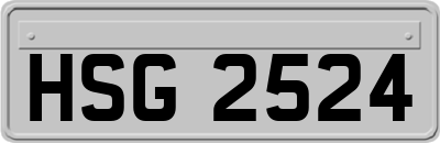 HSG2524
