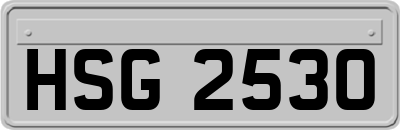 HSG2530