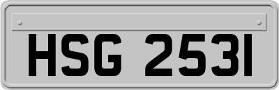 HSG2531