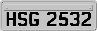HSG2532