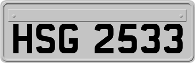 HSG2533