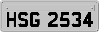 HSG2534