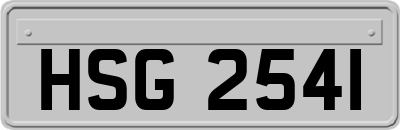 HSG2541