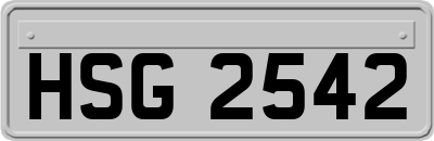 HSG2542