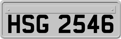 HSG2546
