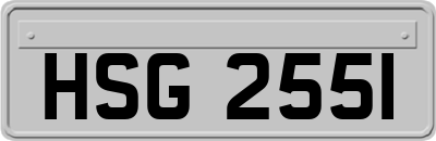 HSG2551