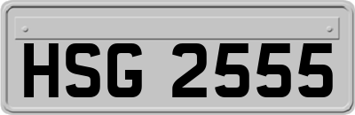 HSG2555