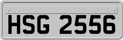 HSG2556