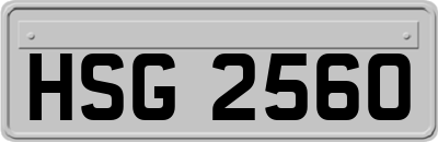 HSG2560