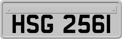 HSG2561
