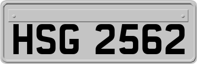 HSG2562