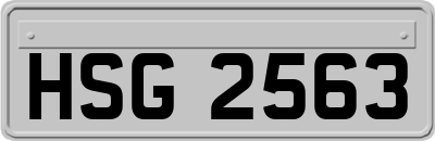 HSG2563