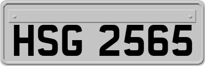 HSG2565