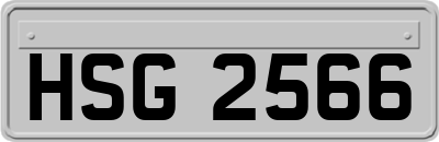 HSG2566