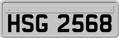 HSG2568